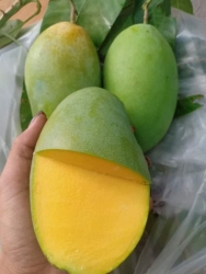 Menu mai thứ 6 tùm lum món ngon mà rẻ khách gộp đơn nhìu món mai e giao lun nha tại Quảng Nam