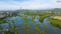 Chủ Cần Tiền Muốn Ra Nhanh Lô Mặt Tiền Đường Nội Bộ Mỹ Khê Angkora, Giá 1 Tỷ 3xx Triệu/Lô tại Quảng Nam