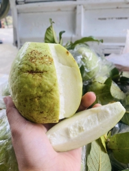 Hàng lên xe còn ai lấy chi báo e miễn síp lun nha tại Quảng Nam