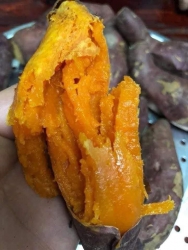 Giỏ hàng hải sản và rau củ hôm nay tại Quảng Nam