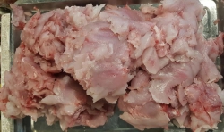 c và Khổ qua tại Quảng Nam