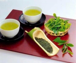 Bán đất tại Quảng Nam