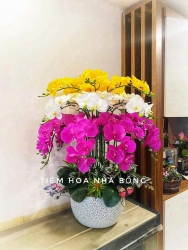 ch….ko lo sợ hoa tàn hoa héo , nhà lúc nào cũng tươi mới tại Quảng Nam