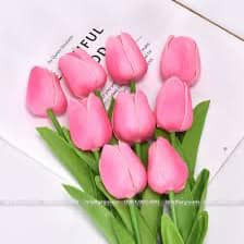 Nay e về củ hoa tulip nhé khách tại Quảng Nam