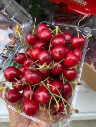 Cheery e tự chụp, rẻ và tươi ngon tại Quảng Nam