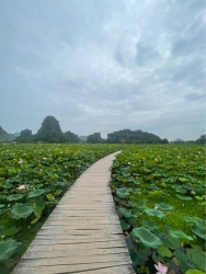 Lô đất siêu phẩm tại Quảng Nam tại Quảng Nam