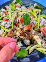 Hào Quang Tuyệt Vời Của 2 Con Ốc Nhảy Sẽ Đến tại Quảng Nam