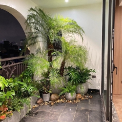 Những chiếc ban công không có gì để chê tại Quảng Nam