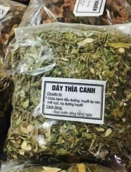 Dây Thìa Canh Chữa Tiểu Đường Cực Tốt tại Quảng Nam