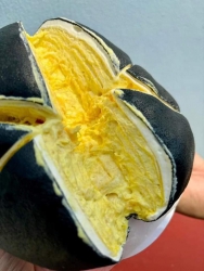  tại Quảng Nam