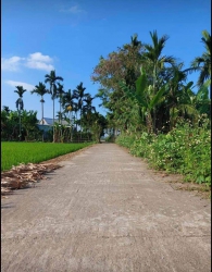 Bê tông 3m5 thông, cách DT609 500m view đồng mát mẻ tại Quảng Nam