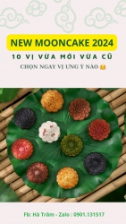 nh Trung Thu Dành Cho Gia Đình và Người Thân tại Quảng Nam