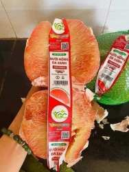 Bưởi mai về cho khách cúng rằm khách ơi. tại Quảng Nam