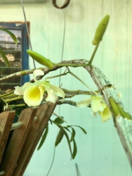 Bán lô đất đường Bờ Đằm, khu Bến Xe Đức Long tại Quảng Nam