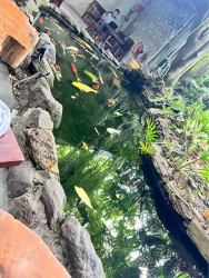 Bán đất tại Bình Triệu, Thăng Bình giá cực tốt tại Quảng Nam