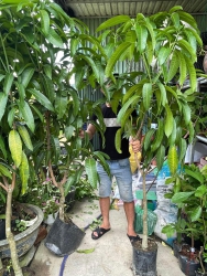  tại Quảng Nam