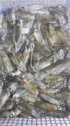 bán mực in chất lượng tại Quảng Nam