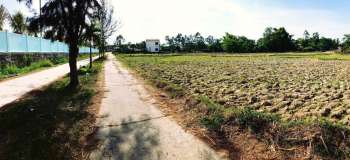 Thật khó tin, đất Nam Hòa Phước Đà Nẵng quá rẻ. Lh 0764758474. tại Quảng Nam