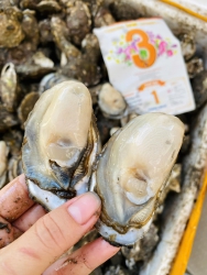 Lên đơn chiều em giao tại Quảng Nam