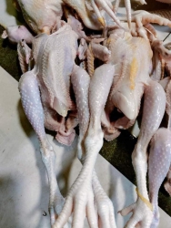 Chăn ga gối tại Quảng Nam