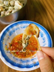 Ốc Nhảy Sống tại Quảng Nam