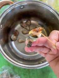 Nhảy đi ốc nhỏ tại Quảng Nam