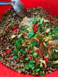 Bài viết mới tại Quảng Nam