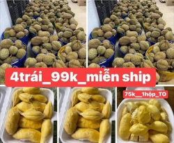  CHO MỘT NGÀY VÀ MỘT NỬA NỮA tại Quảng Nam