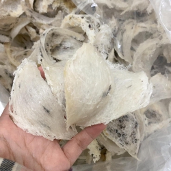 Mới hái hạt dẻ ngon, mỏng bụng tại Quảng Nam