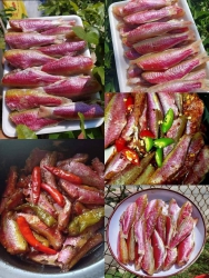 Bán Cá Phèn Rẻ tại Quảng Nam