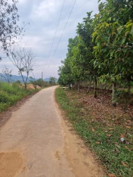 Bán đất thổ cư gấp tại Xã Cát Tiên- Lâm Đồng tại Quảng Nam