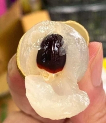 n tại Quảng Nam