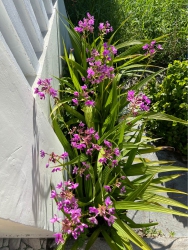 Cơ hội mua đất rẻ ở phường Điện Minh tại Quảng Nam