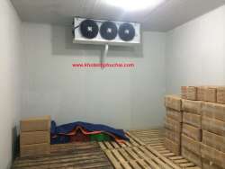 Lắp đặt kho lạnh, kho đông lạnh, tủ đông gió thủy sản tại Quảng Nam
