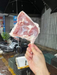 Đùi Vịt Cỏ Tươi tại Quảng Nam