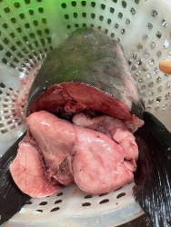 Hàng tươi nhớt Mai xẻ cá bỏ nhà hàng tại Quảng Nam