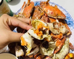 n nhanhhh tại Quảng Nam