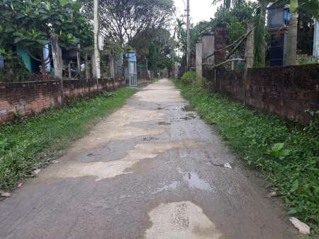 CẦN TÌM CHỦ MỚI CHO EM HOA HẬU ĐIỆN TIẾN NHÉ .  tại Quảng Nam