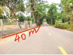 Chủ cần bán lô đất mặt tiền đường Hòa Phú Hòa Vang tại Quảng Nam
