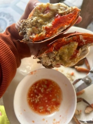 Cua Cà Mau Năm Căn - Cua đường bay sống khỏe tại Quảng Nam