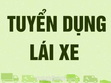 Mình đang cần gấp một người lái xe tải 3 tấn 45 hoặc ai có mong muốn chung 1/3 xe tại Quảng Nam