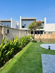 Chuối các loại, tại vườn siêu đẹp tại Quảng Nam