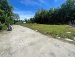 Sụp hầm lô đất nhà vườn Phước Hưng Nam tại Quảng Nam