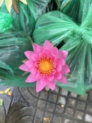  tại Quảng Nam