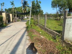 Một lô nhà vườn View đồng tại Quảng Nam