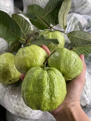 Lên đơn em đi ship khách ơi tại Quảng Nam