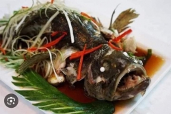 Khách hỏi cá mú tại Quảng Nam