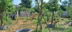 Cần bán lô đất trồng cây đường ô tô Hoàng Văn Thái, nối dài, Khu Đại La tại Quảng Nam