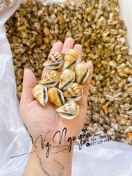 CH LÊN ĐƠN SHIPPER CHẠY SHIP NHANH LUÔN NGENNN tại Quảng Nam