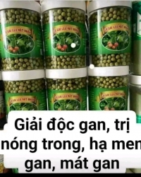 Cà gai Leo mật nhân Có tác dụng bổ thận mát gan giải độc gan hổ trợ ung thư gan phổi thận Trị phong tại Quảng Nam
